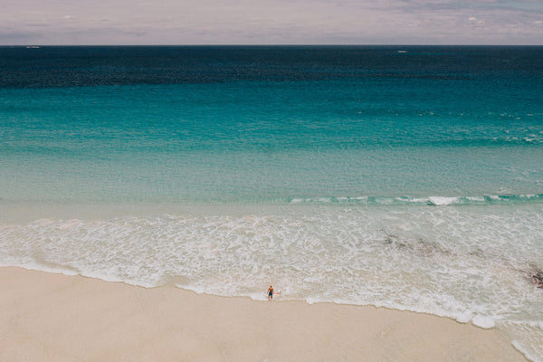 820mm Carbon Front Wing