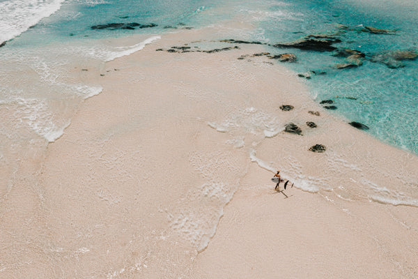 750mm Carbon Front Wing